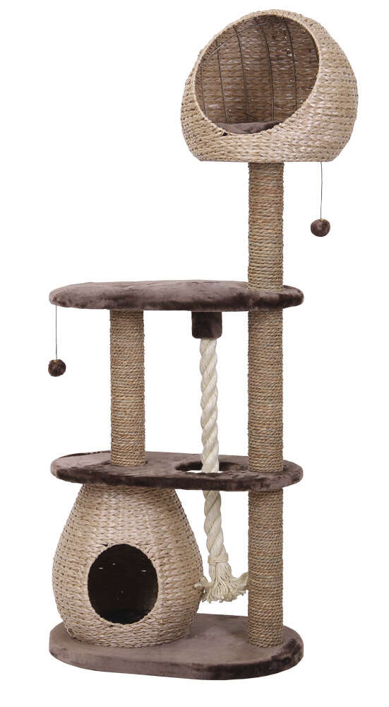 Nobby Kratzbaum Bareli